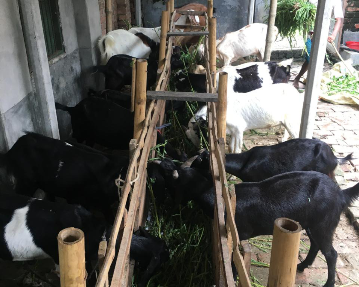 Hulhulia Agro Farm News & Blogs